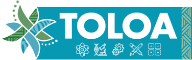 Toloa Steam Logo